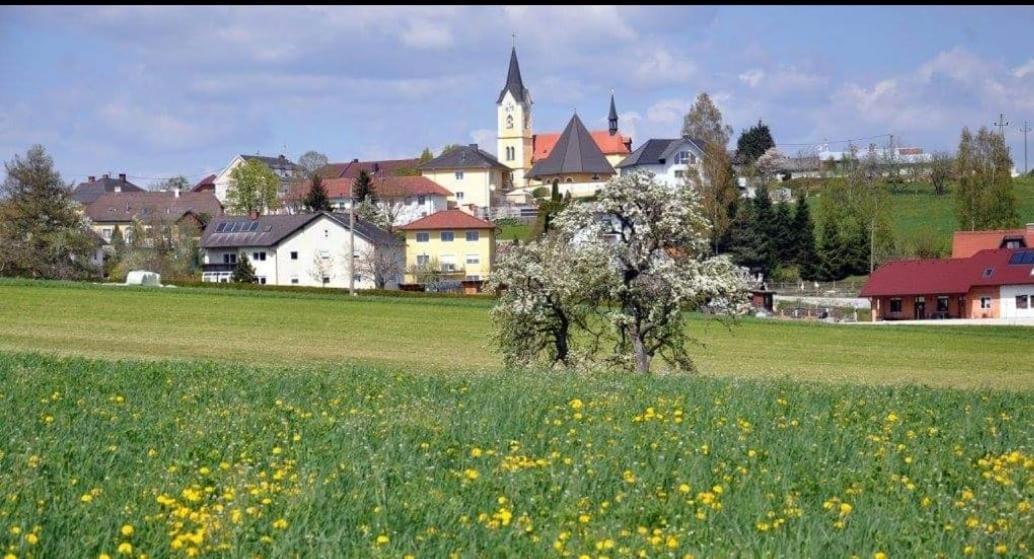 Wohnhaus City Sued Herzogsdorf Zewnętrze zdjęcie